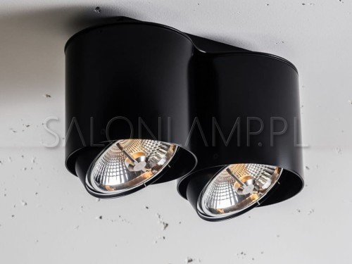lampa natynkowa do surowych wnętrz NEX 2 NT QR111 2x50W