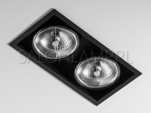 lampa wpuszczana w sufit podwieszany Multiva Evo 115.2 QR111 2x100W