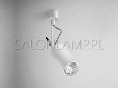 biała oprawa natynkowa PETPOT LED 230V AQForm reflektor.jpg