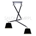 czarna lampa sufitowa na wysięgniku Zyta 2S 2x60W E27