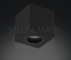 Logo Czarna IP44 – 90x95mm – Plafon