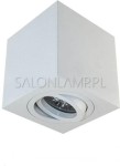 Logo Biała – 90x95mm – Plafon