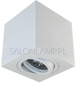 Lampa sufitowa reflektor kostka natynkowa Logo biała.jpg