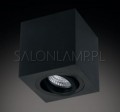 Lampa sufitowa kostka natynkowa Logo czarna kierunkowa.jpg