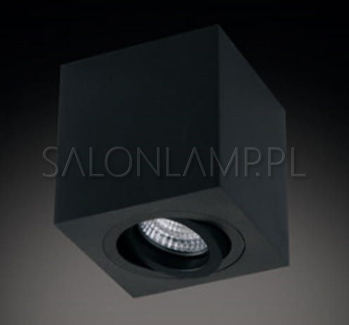Lampa sufitowa kostka natynkowa Logo czarna kierunkowa.jpg