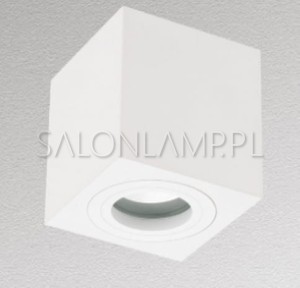 Logo Biała IP44 – 90x95mm – Plafon