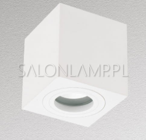 Lampa sufitowa kostka natynkowa Logo biała kierunkowa.jpg