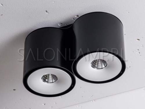 ładna oprawa natynkowa reflektor do surowych wnętrz Nex 2 NT edge.LED 2x6,5W.jpg