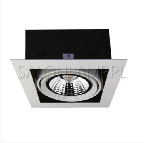 kwadratowa oprawa wpuszczana w sufit z białą ozdobną ramką na regulowany halogen Wpust 50W ES111 20,5x20,5cm do pomieszczeń biurowych i domowych.jpg