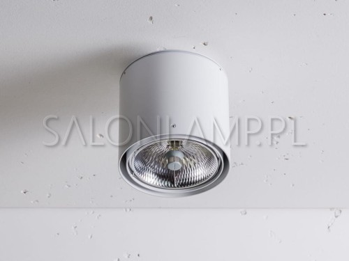 biała dekoracyjna oprawa natynkowa reflektor z regulacją świecenia Nex 1 NT QR111 50W.jpg