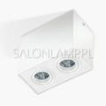 lampa sufitowa do nowoczesnych wnętrz reflektor Logo 2 biała 2x50W GU10