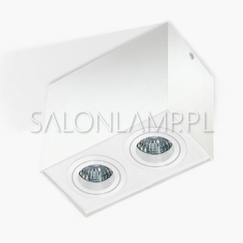 lampa sufitowa do nowoczesnych wnętrz reflektor Logo 2 biała 2x50W GU10